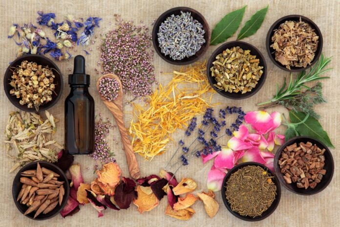 Naturopath Malvern