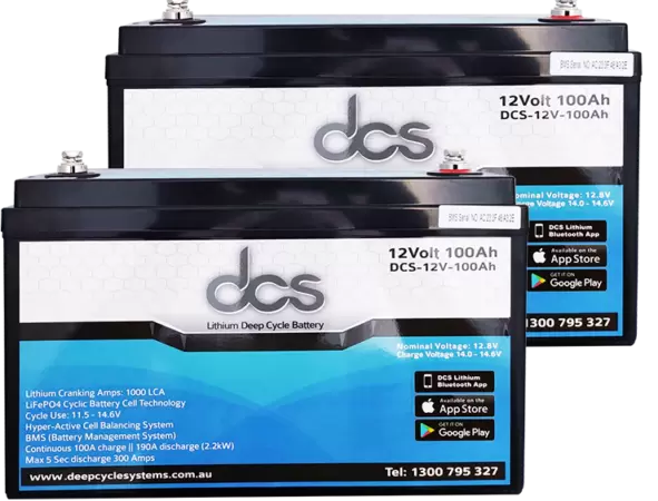12 Deep Cycle battery
